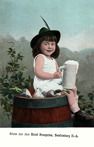 Senftenberg